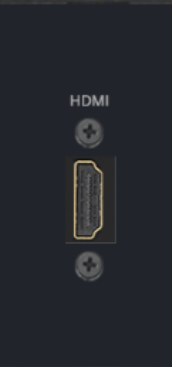 Flex55 HDMI Plate