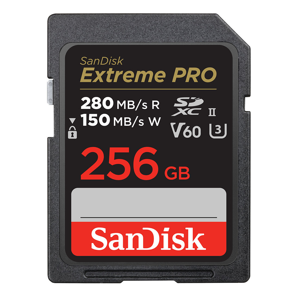 SDSDXEP-256G-ANCIN