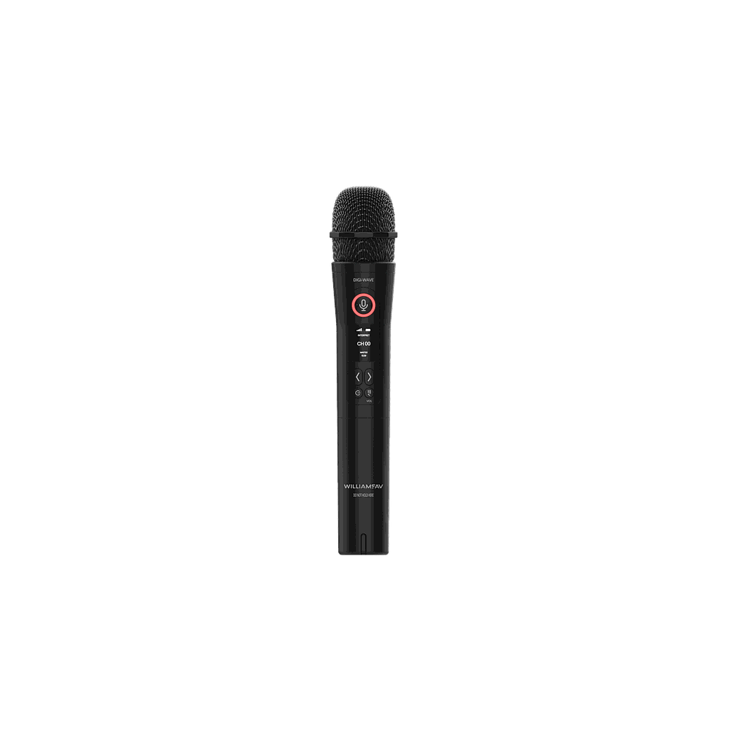 DW T410