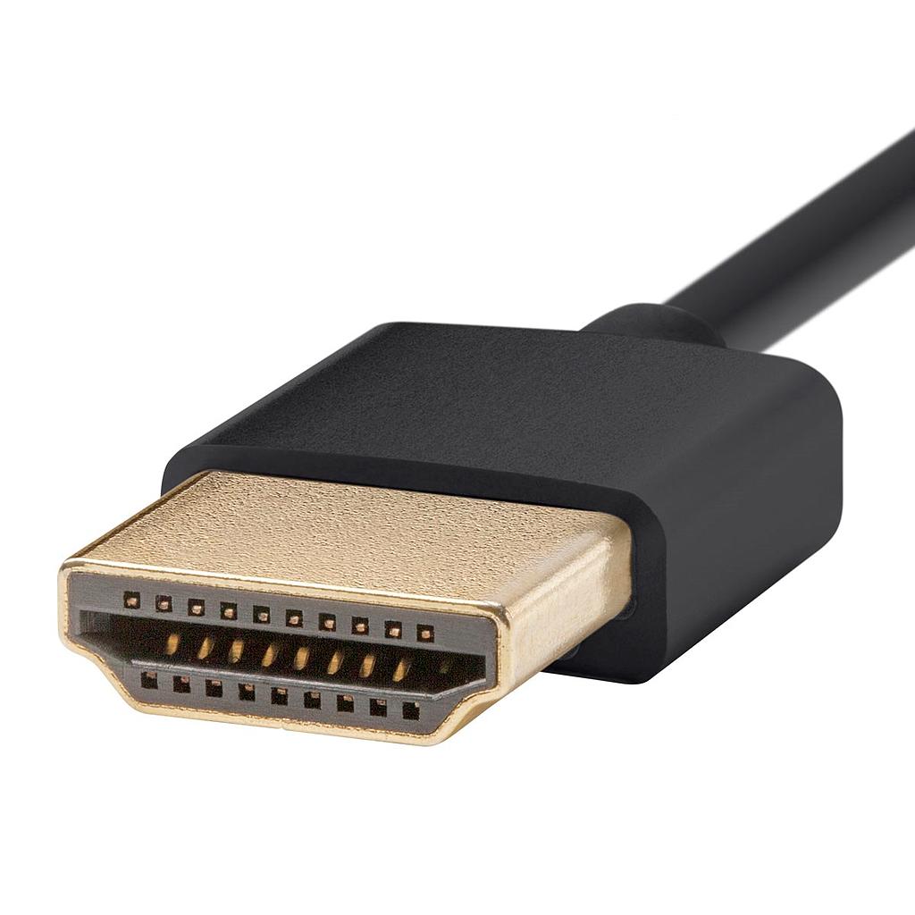 FTS-HDMI-SLIM-1